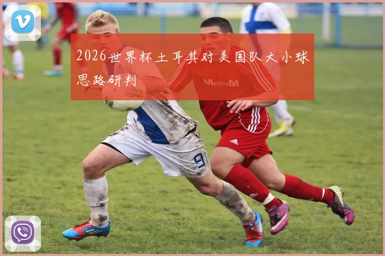 2026世界杯土耳其对美国队大小球思路研判