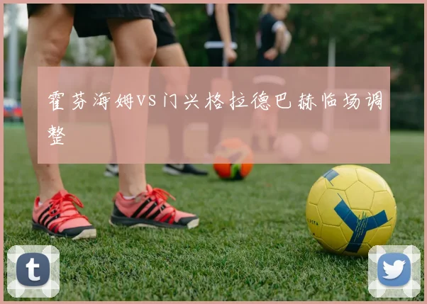霍芬海姆vs门兴格拉德巴赫临场调整